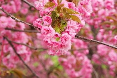 南京栖霞区7线下个人借款平台一站式服务，轻松解决资金难题