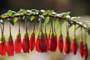 南京栖霞区7零用贷短借：轻松解决临时资金需求