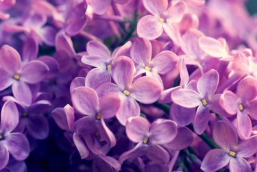 南京栖霞区7企业急用钱贷款攻略：快速融资解燃眉之急